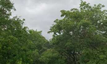 Imagem 5: VENDO CHÁCARA - 3.000 m² NO NOVO GAMA