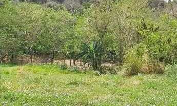 Imagem 6: TERRENO - JARDIM JUREMA - SP