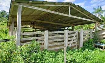 Imagem 2: Fazenda em Uruará/PA