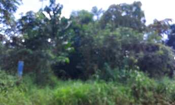 Imagem 4: TERRENO IRANDUBA KM 13 10X74 à 100m DA ESTRADA