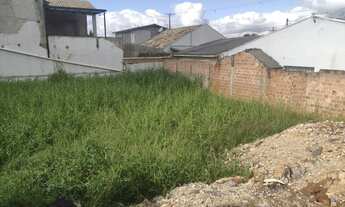 Imagem 7: Terreno para Venda em São José dos Pinhais, Ipê