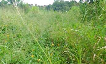 Imagem 7: Fazenda/Sítio/Chácara para venda tem 190 metros quadrados com 4 quartos