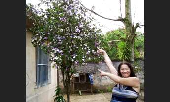 Imagem 4: Venda Casa com 4 dormitórios