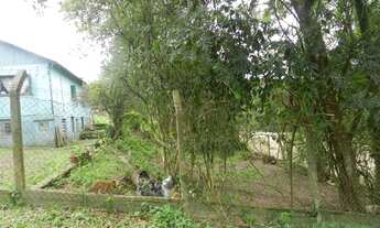 Imagem 2: Viamão - Terreno Padrão - Querência