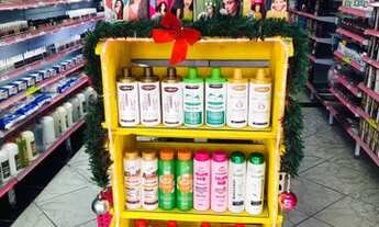 Imagem 4: Vendo loja completa