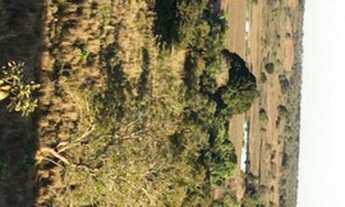 Imagem: Fazenda em Sandolandia-TO