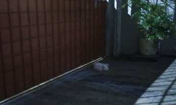 Imagem 5: Casa vende se na varzea