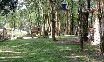 Imagem 7: Linda chácara com casa tipo chalé