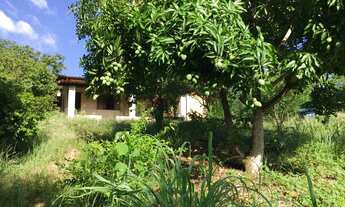 Imagem 2: Fazenda/Sítio/Chácara com casa e pomar em Santana do Pirapama/MG