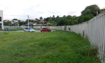 Imagem 5: Viamão - Terreno Padrão - Taruma