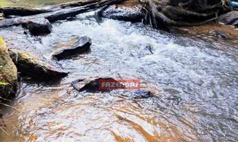 Imagem 4: Chácara 2 alqueires e 33 litros- Bela vista de Goiás