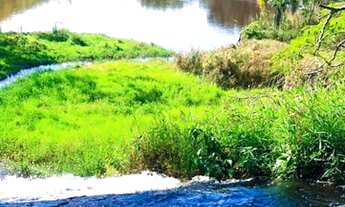 Imagem 13: Lote/Terreno para venda tem 1000 metros quadrados em São Miguel Paulista - São Paulo - SP