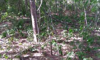 Imagem 2: Terreno em chacreamento fechado!