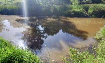 Imagem 1: 5 alqueires de terra