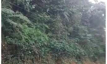 Imagem: Terreno estrada de Trindade Paraty Rj