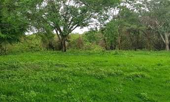 Imagem 4: No bairro Área Rural em Presidente Prudente