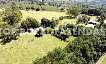 Imagem 7: Fazenda 135 Alqueires, Região de Avare-Sp