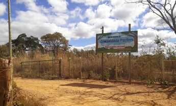 Imagem 3: Ótima Chácara 1000 metros na comunidade pau ferro