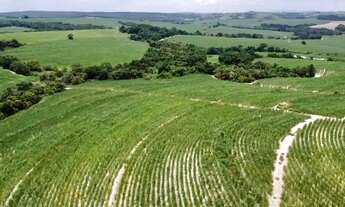 Imagem 3: Porto Feliz-Sp, Fazenda 66 Alqueires