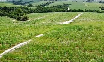 Imagem 5: Porto Feliz-Sp, Fazenda 66 Alqueires