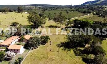 Imagem 6: Fazenda 135 Alqueires, Região de Avare-Sp