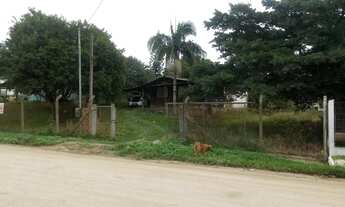 Imagem 3: Viamão - Terreno Padrão - Florescente