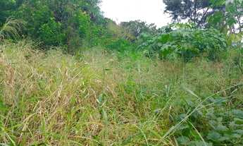 Imagem 2: Fazenda/Sítio/Chácara para venda tem 190 metros quadrados com 4 quartos