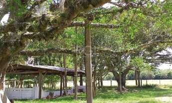 Imagem 7: Viamão - Sítio - Águas Claras