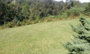 Imagem 7: Gramado - Casa Padrão - Planalto