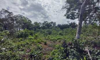 Imagem 5: Lote no ramal do janauari 50x60