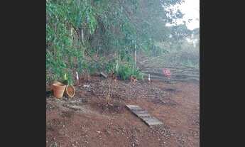 Imagem 2: Venda Chácara Chácara com venda por R$250.000