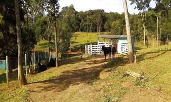 Imagem 6: Fazendinha Itaguara - 12 hectares