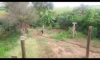 Imagem 6: Vendo chácara 700 MTS próx a Eng Schimidt