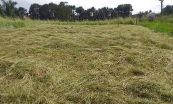 Imagem 5: Terreno na Av Dorval Camilo, Bairro areal