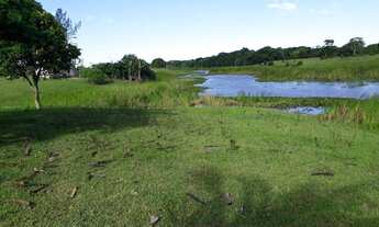 Imagem 4: Fazenda para Venda em Macaé, Cabiúnas, 2 dormitórios