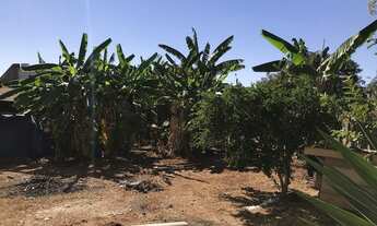 Imagem 3: Casa de 2 quartos no jardim petropolis