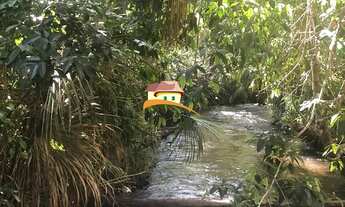 Imagem 2: Fazenda para Venda em Fernando Falcão, Região produtora em expansão