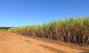 Imagem: Sítio 15 alqueires em Alvares Florence