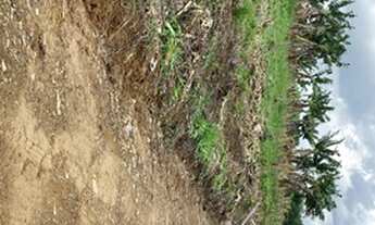 Imagem 3: Fazenda/Sítio/Chácara para venda possui 23000 metros quadrados em Centro - São João do Ita