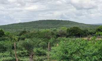 Imagem 7: TERRENO PARA VENDA NA CIDADE DE SANTA TEREZINHA-BA