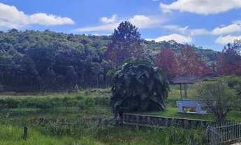 Imagem 2: Salão / lagos para pesque pague