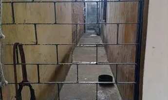 Imagem 4: Casa no Marcos Freire !