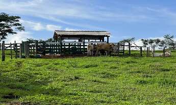 Imagem 7: Chácara de 02 alqueires e 27 litros em Itauçu-GO