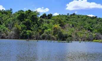 Imagem: Área 20.000m² Financiada Terra de Plantio