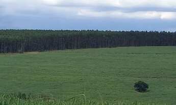 Imagem 4: Fazenda/Sítio/Chácara para venda com 2425000 metros quadrados em Centro - Piracicaba - SP