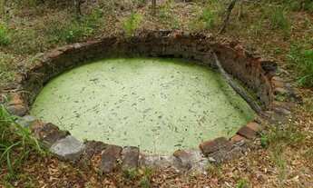 Imagem 7: Fazenda entre Paramoti e General Sampaio - 250ha. Oportunidade!