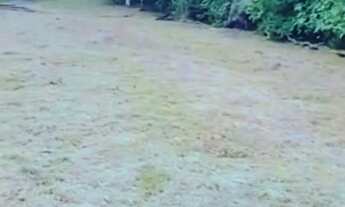 Imagem 3: Área para fazer prédio ou condomínio de casas