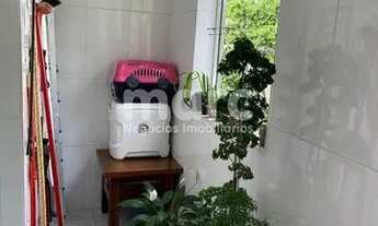 Imagem 7: SAO PAULO - Apartamento Padrão - CAMBUCI