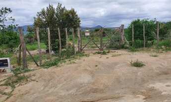 Imagem 2: TERRENO PARA VENDA NA CIDADE DE SANTA TEREZINHA-BA