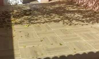 Imagem 4: Casa temporada no